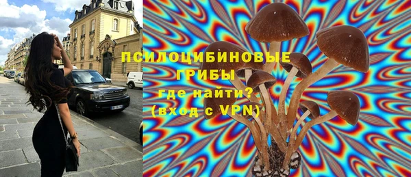 хмурый Алзамай