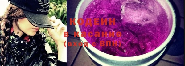 хмурый Алзамай