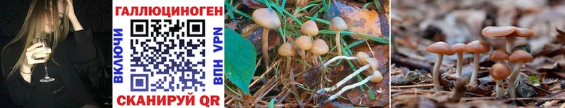 Галлюциногенные грибы Cubensis  сколько стоит  гидра сайт  Артём 